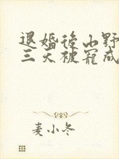 退婚后山野糙汉三天被宠成宝小说