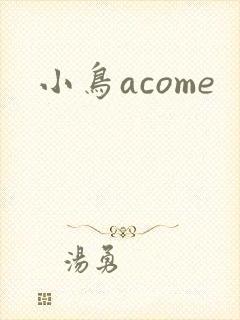 小鸟acome