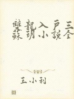 双龙入户三人行苏玥小说全文阅读