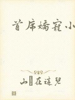 首席娇宠小情人