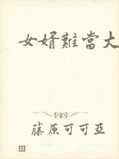 女婿难当大结局