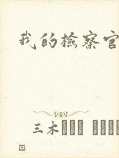 我的检察官先生