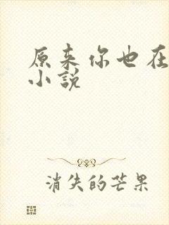 原来你也在这里小说