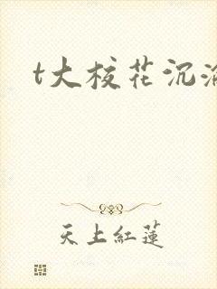 t大校花沉沦