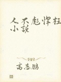 人不彪悍枉少年小说