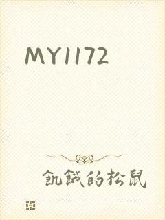 MY1172封面