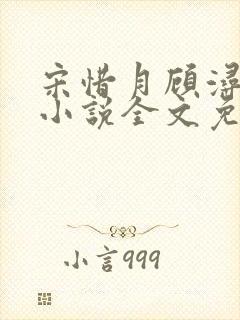 宋惜月顾浔渊的小说全文免费阅读