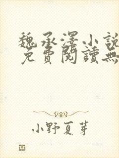 魏承泽小说全文免费阅读无弹窗笔趣