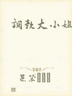 调教大小姐