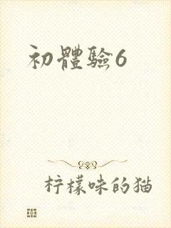 初体验6