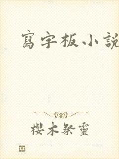 写字板小说