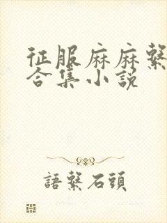 征服麻麻系列大合集小说