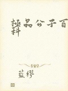 极品公子百度百科