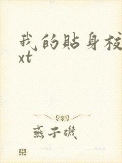 我的贴身校花txt