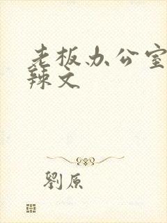 老板办公室系列辣文