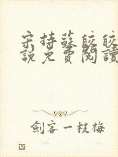 宋持苏皎皎的小说免费阅读