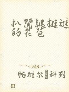 扒开腿挺进湿润的花苞