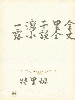 一泻千里金银花露小说全文免费阅读