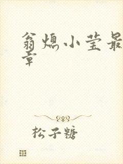 翁熄小莹最新节章