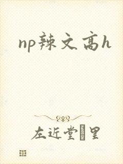 np辣文高h