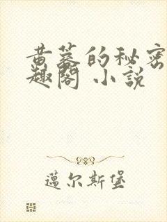 黄蓉的秘密 笔趣阁 小说