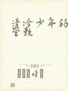 清冷少年的严厉管教