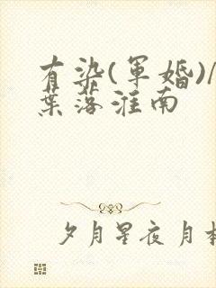 有染(军婚)/叶落淮南