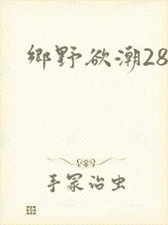 乡野欲潮28章