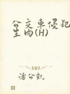 公交车侵犯小男生肉(H)