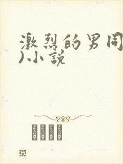 激烈的男同(h)小说