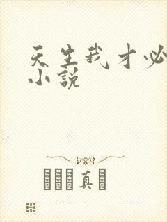 天生我才必有用小说