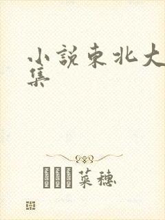 小说东北大炕全集