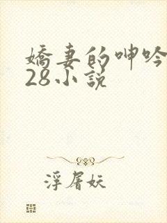 娇妻的呻吟1—28小说