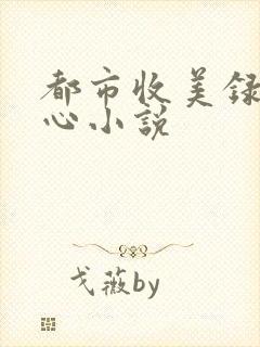 都市收美录宁素心小说