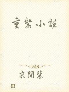 重紫小说