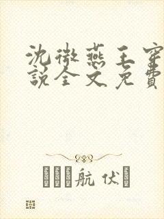 沈微燕王穿越小说全文免费阅读