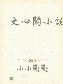文心阁小说