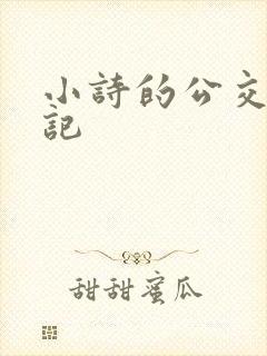 小诗的公交车日记