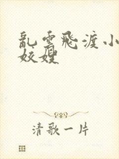 乱云飞渡小说之姣嫂