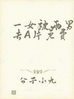 一女被两男桶进去A片免费