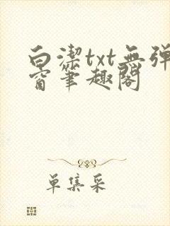 白洁txt无弹窗笔趣阁