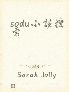 sodu小说搜索