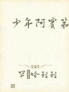 少年阿宾第二部