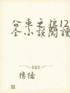 公车之狼12集全小说阅读