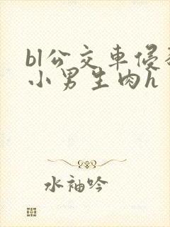 bl公交车侵犯小男生肉h