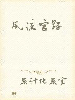 风流官路