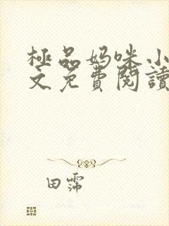 极品妈咪小说全文免费阅读