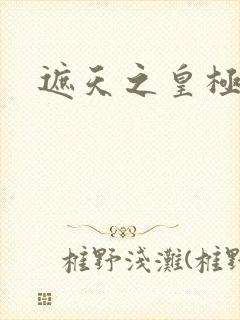 遮天之皇极帝道