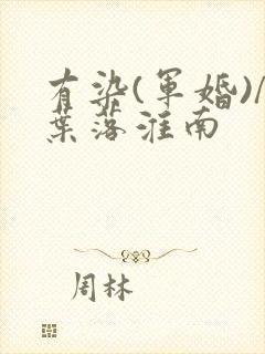 有染(军婚)/叶落淮南