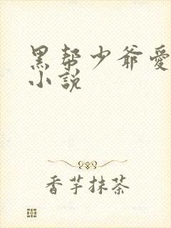 黑帮少爷爱上我小说